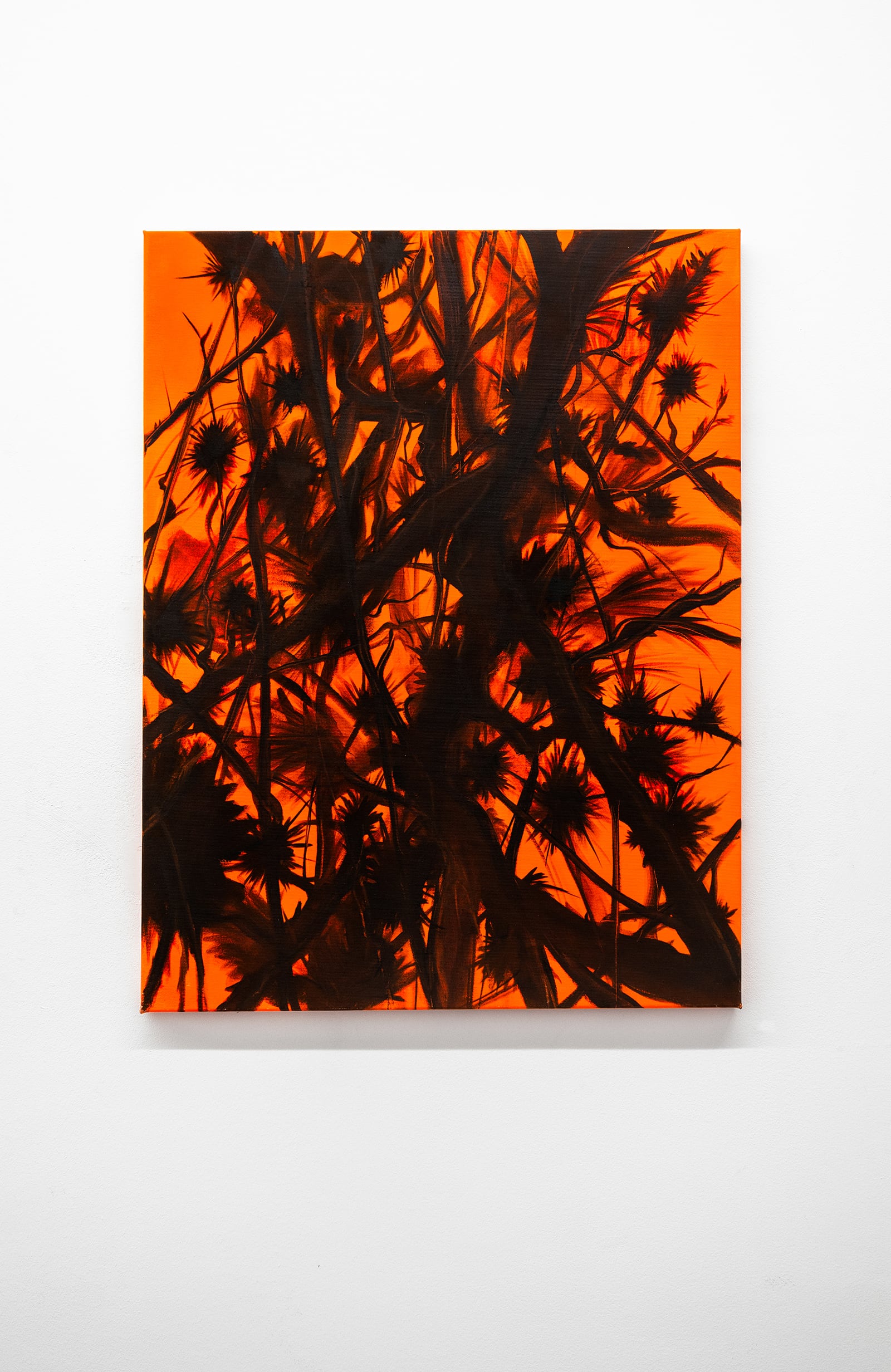 Fabio Deronzier, Budweiser, 2023, oil & acrylic on canvas, 46 x 65 cm