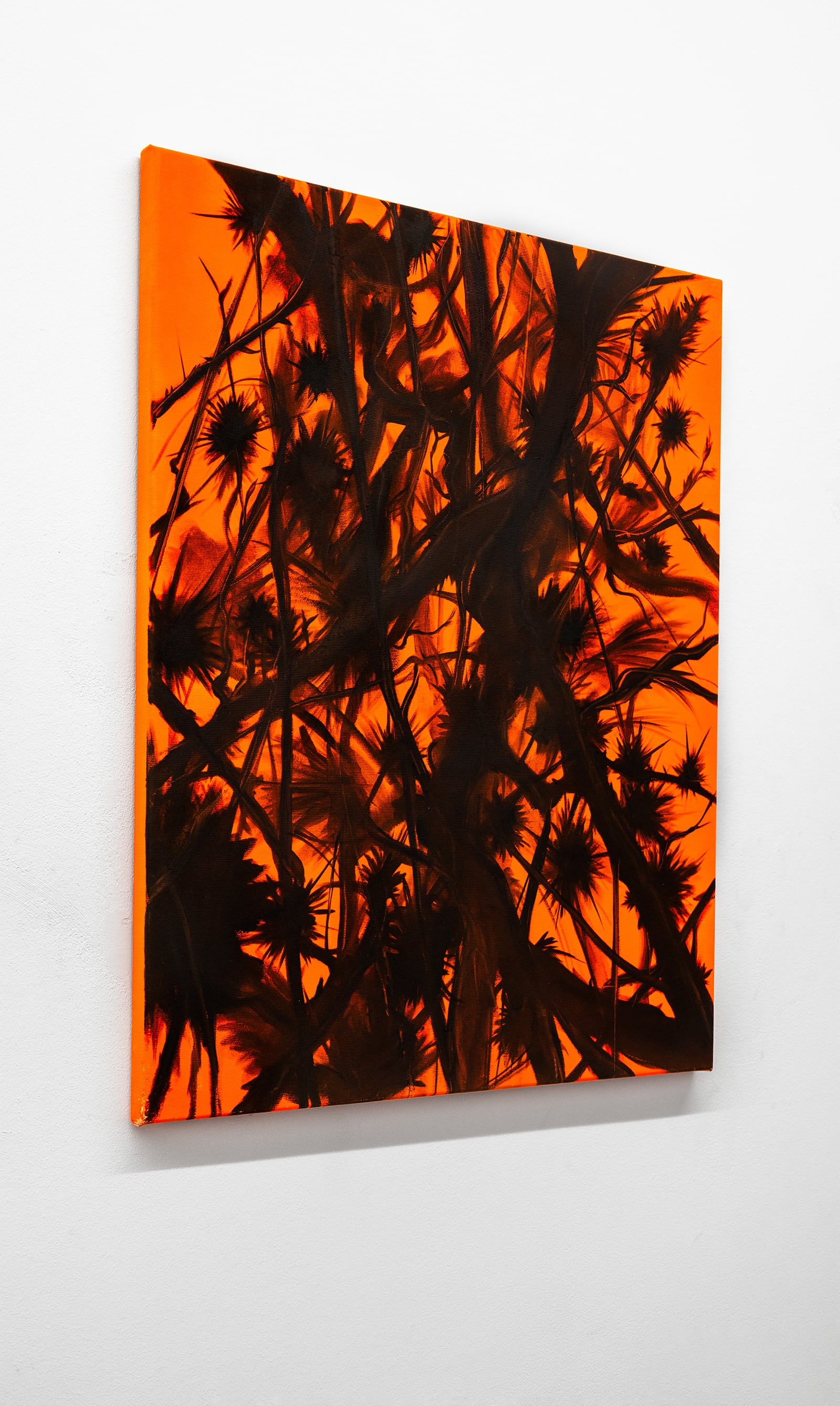 Fabio Deronzier, Budweiser, 2023, oil & acrylic on canvas, 46 x 65 cm